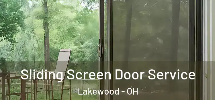 Sliding Screen Door Service Lakewood - OH